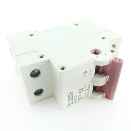 Vistalux Electrical AUT1 100A 100 Amp Main Switch Isolator 2 Double Pole 